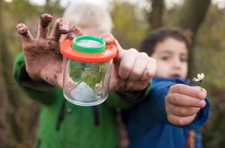 Obs De Expeditie in Dieren